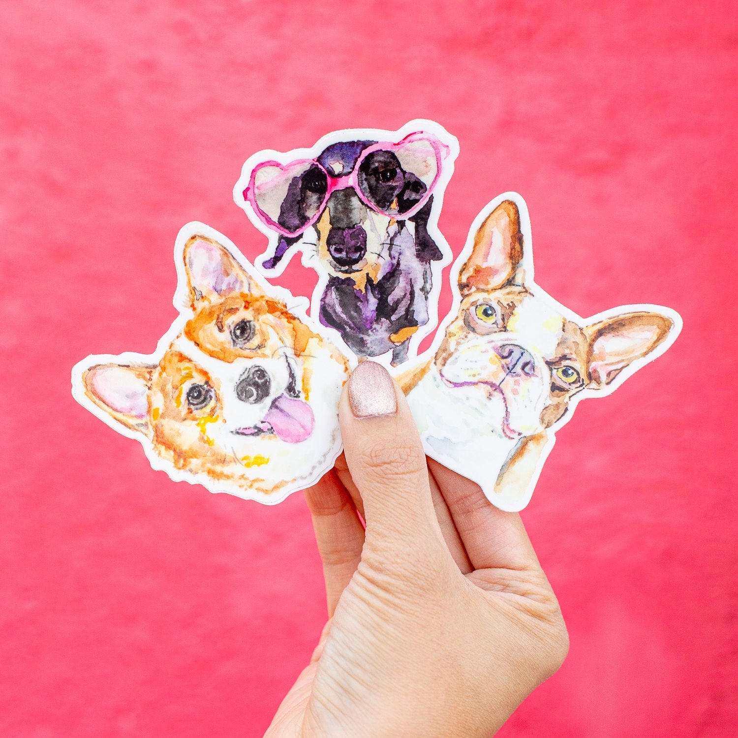 Boston Terrier Sticker