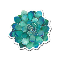 Teal Succulent 3" Waterproof Vinyl Sticker for Water Bottles, Laptops, Phones & More **FREE USA SHIPPING**